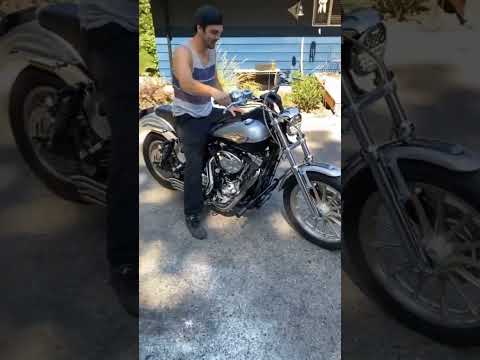 Harley Rev limiter #limiter #burnout #drifting #harleydavidson #wheelies #motorcycle #stunts #shorts