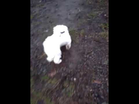 Jak beny sel semnou ven