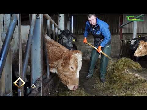Neil Furey - Teagasc/FBD Student of the Year 2022 Finalist