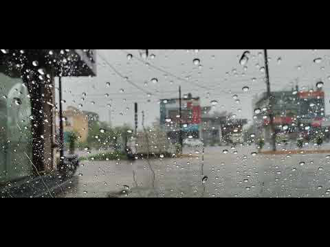 Sound of rain #nature #love #music #rain 