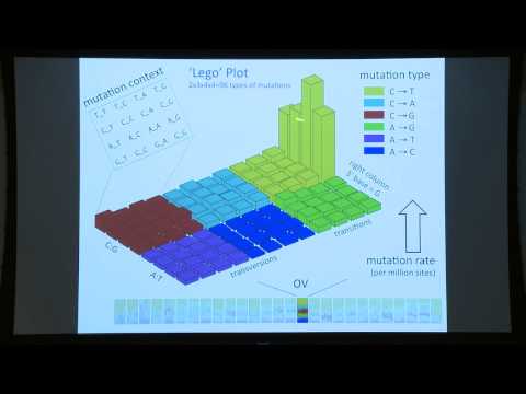 MPG Primer: Analyzing Cancer Genetics
