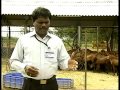 Pon Vilaiyum Bhoomi 26 08 2013