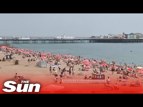 LIVE: London swelters in the heat amid 'record high temperatures'
