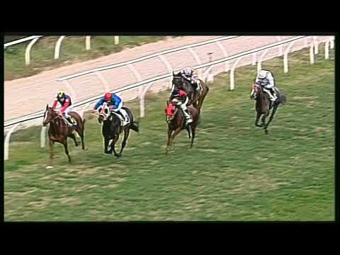 Galoppo 04/02/2020 - 2ª corsa