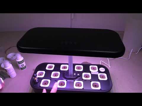 How to Set Up an Indoor hydroponics system part 2