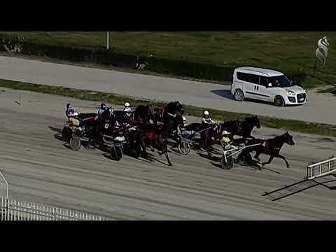 Aversa trotto 8 Febbraio 2023 - 2° Corsa