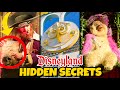 Top 10 Hidden Secrets at Disneyland