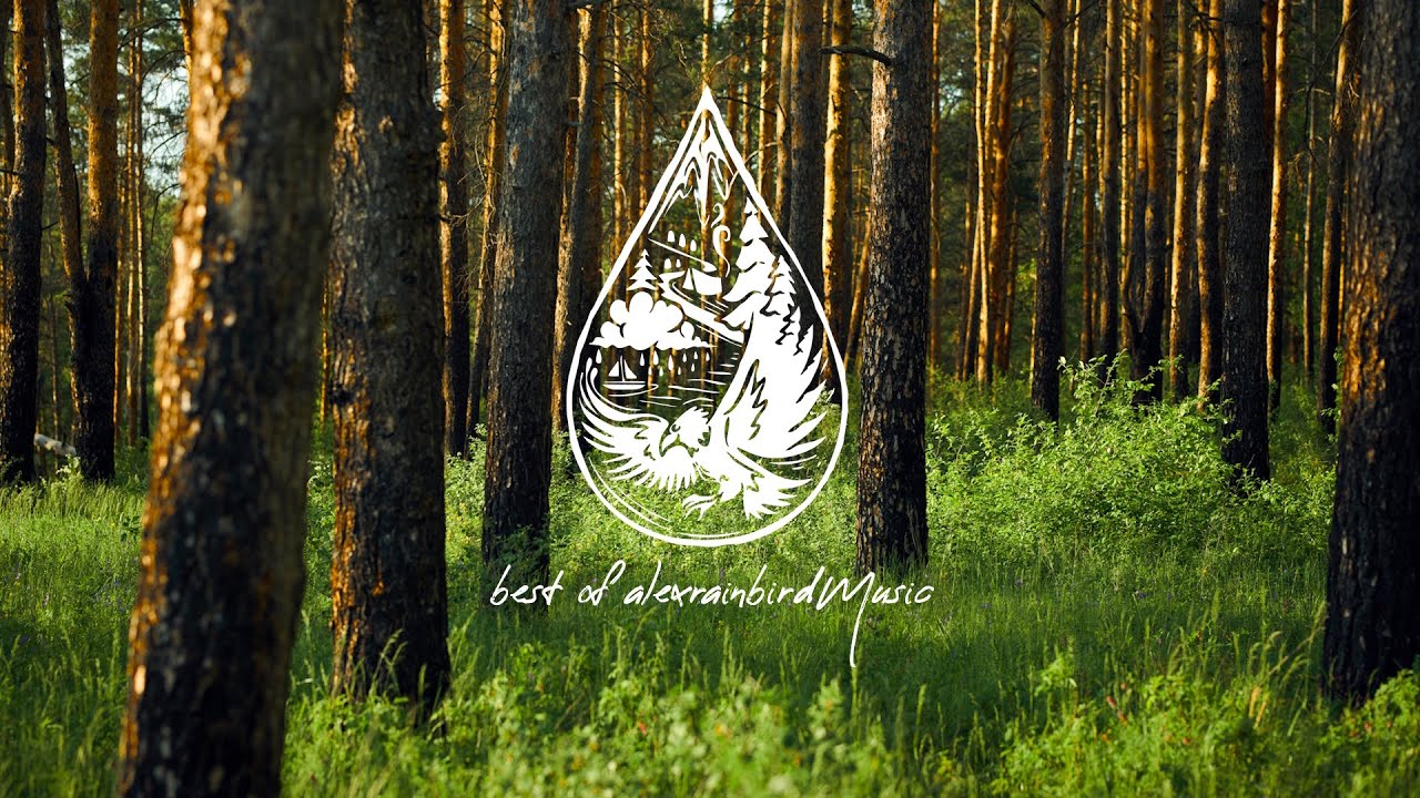 Best Indie Music of 2025 • Top 50 Songs 🎉 (An alexrainbirdMusic Playlist)