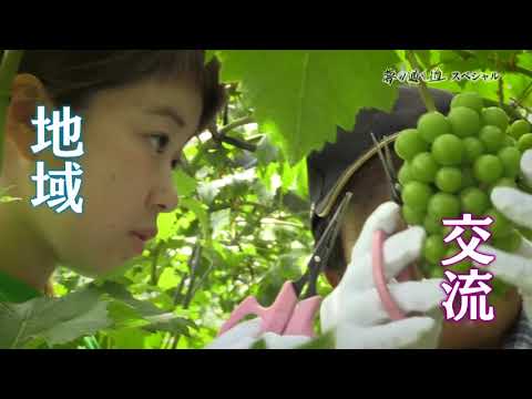 保健福祉学科 【ダイジェスト版】広島発！夢の通り道スペシャル ～学生First 時代に向き合う教育 県立広島大学の挑戦～