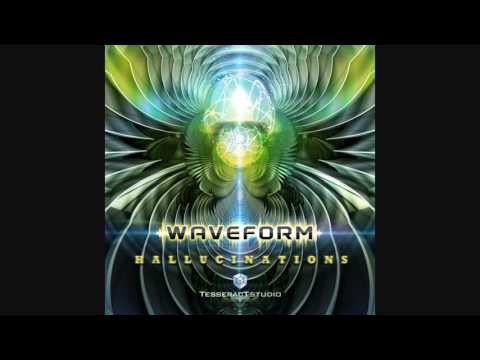 Waveform - Hallucinations