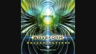 Waveform - Hallucinations
