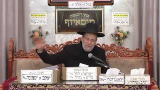 הרב דוד אפללו   משנכנס אדר מרבין בשמחה   מוסאיוף (בית הכנסת מוסאיוף - ערוץ חדש) - התמונה מוצגת ישירות מתוך אתר האינטרנט יוטיוב. זכויות היוצרים בתמונה שייכות ליוצרה. קישור קרדיט למקור התוכן נמצא בתוך דף הסרטון