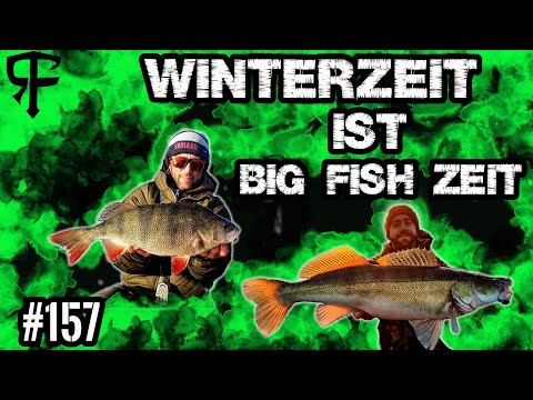 Angeln im Winter auf dicke BARSCHE und große ZANDER