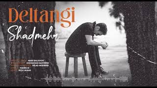 Shadmehr aghili new music deltangi موزیک جدید شادمهر بنامه دلتنگی
