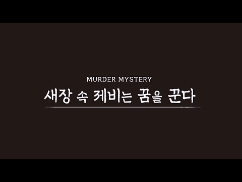 비디오 4