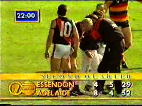 1993 AFL - PRELIM FINAL - ADELAIDE CROWS  v  ESSENDON
