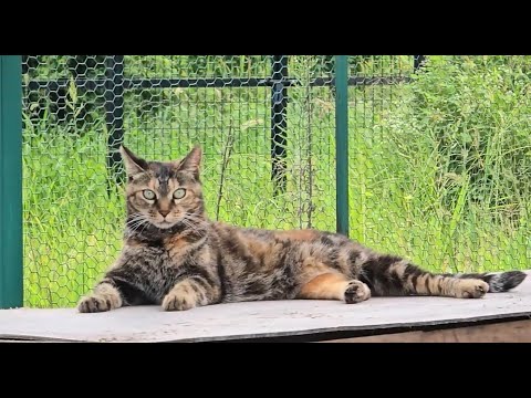 드디어 가능성을 보았다