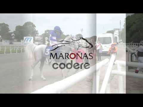 220220 c01 LT FENOMENO