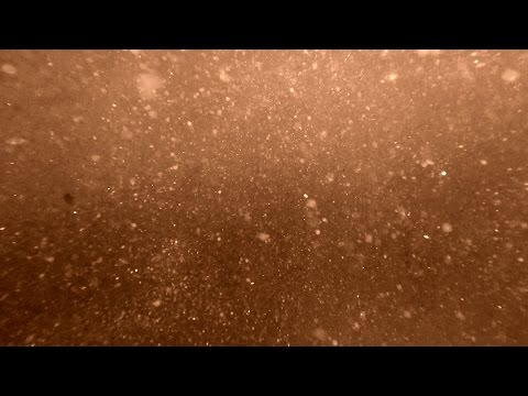 Lehmann B. Smith - Dust (Official Video)