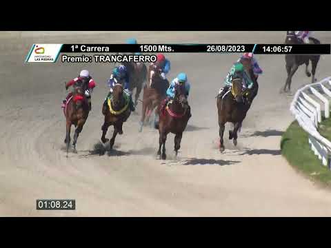 230826 c01 - DIAMOND MAJESTIC - HIPODROMO LAS PIEDRAS