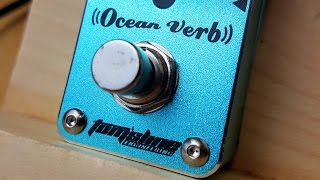 Video thumbnail for Oceanverb Digital Reverb from Tom's Line Effects by Steve from Boston