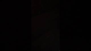 Raffi's Petit Papa Noel