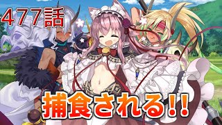 うぷ主は美少年になるようです モンスター娘TD 477話 イベントシナリオ「禍廻りて狐は為す」E-3