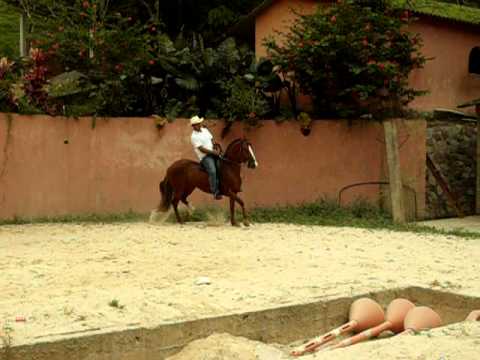 Venus de La Cabaña.AVI