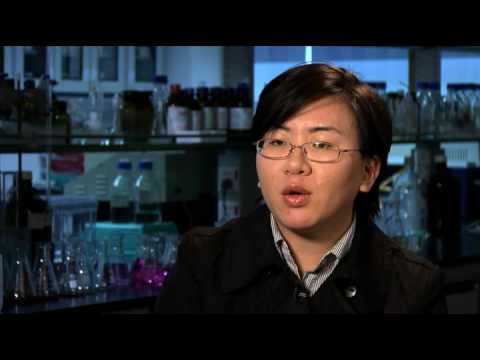 Standards and Testing Centre - Customer Success Story (Richard Fung - Chief Executive)