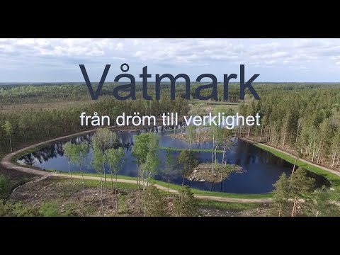 , title : 'Våtmark - från dröm till verklighet'