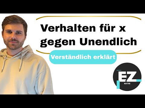 Verhalten für x gegen Unendlich, Funktionen | Verständlich erklärt