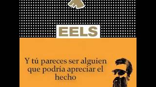 Eels - Ordinary man (subtitulada al español)