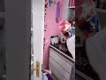 Alice Delish Viral Instagram Reel Shorts Viral Instagram Reels