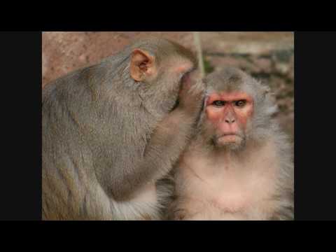 XTech 2017 Day 1 - 2 : Keynote: Enhancing Humans, Advancing Humanity