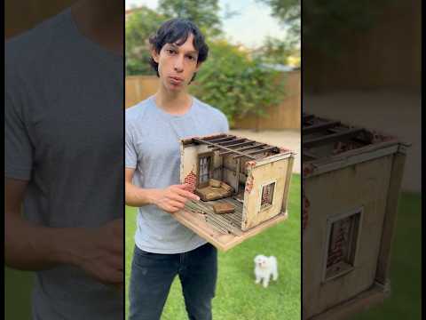 O meu cãozinho só tinha uma pedra para brincar até ver a sua nova mansão! 😱💎😭