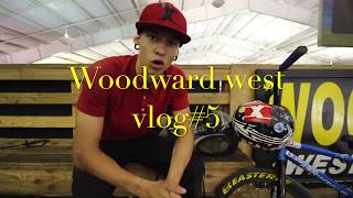 preview picture of video 'vlog #5'