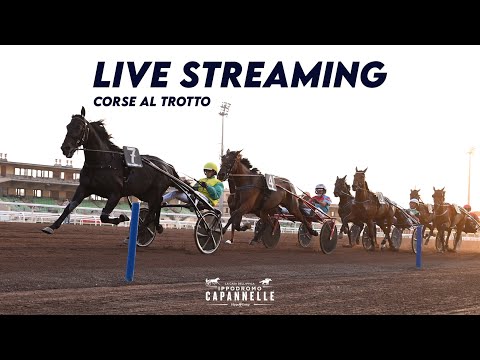 CAPANNELLE CORSE AL TROTTO 14 OTTOBRE 2023