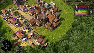 First Time Using a Yucatan Mayan Revolt For Black Forest Nothing Age of Empires 3 Definitive Edition