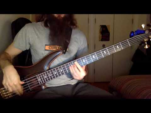 Tame Impala - Solitude Is Bliss (Bass Cover) [Pedro Zappa]