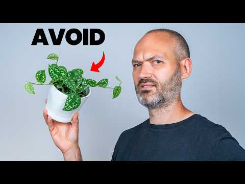 14 Plants I Wish I NEVER Bought