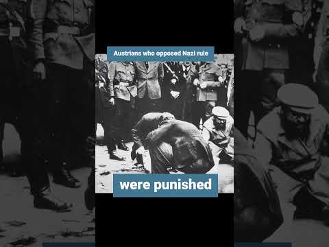 Today in History - Nazi Germany invaded Austria | March 12 | Bite Sized History