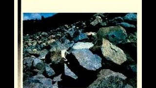 Dexter Gordon - You Said It