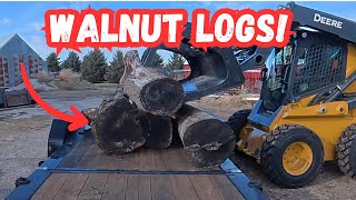 Picking up some Walnut logs for a special reason