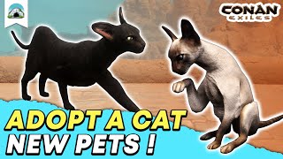 New Pets: How to get a Cat Pet & Stray Cat Locations - Chapter 2 Preview | Conan Exiles