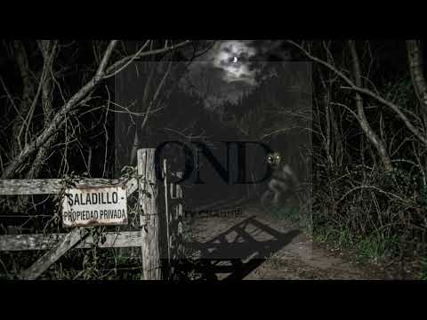 Misterio: El niño bestia (Saladillo - Buenos Aires - Argentina)