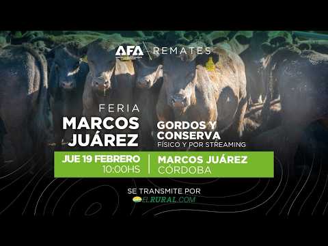 Remate AFA Gordos y Conserva desde Marcos Juárez Córdoba