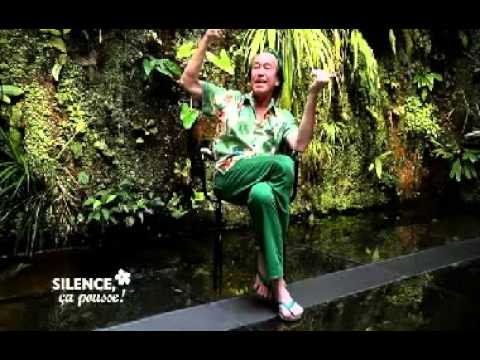 Les murs végétaux selon Patrick Blanc