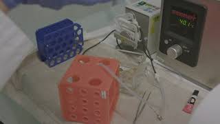 Download lagu demonstration of vDISCO on whole mouse body Marika Cai and Madita Reimer mp3 Download lagu demonstration of vDISCO on whole mouse body Marika Cai and Madita Reimer mp3