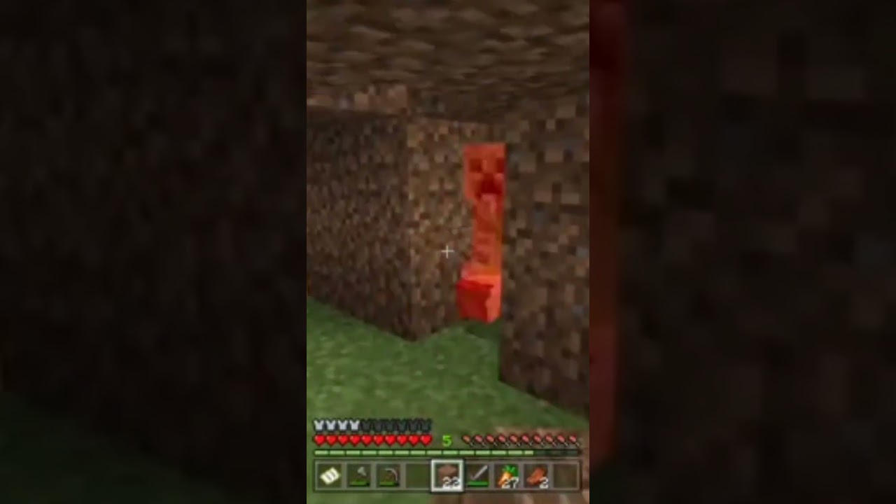 Weirdest Creeper Incident 💀