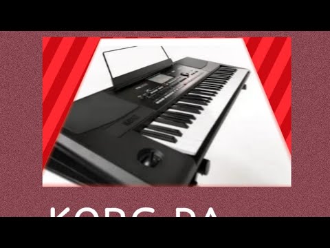 KORG PA 300 MULTI PAD